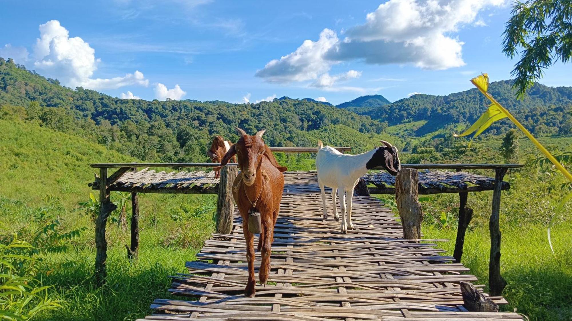 ไร่นิธิสุนทร Nithisoonthon Farmstay Mae Hong Son Zewnętrze zdjęcie