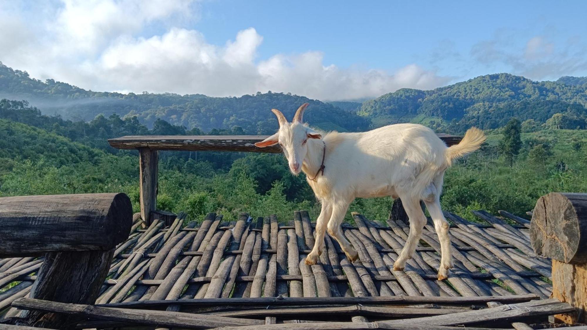 ไร่นิธิสุนทร Nithisoonthon Farmstay Mae Hong Son Zewnętrze zdjęcie