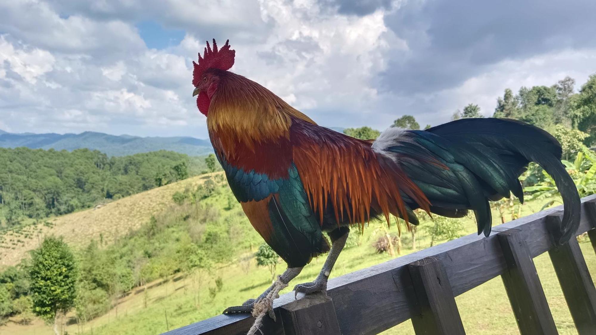 ไร่นิธิสุนทร Nithisoonthon Farmstay Mae Hong Son Zewnętrze zdjęcie
