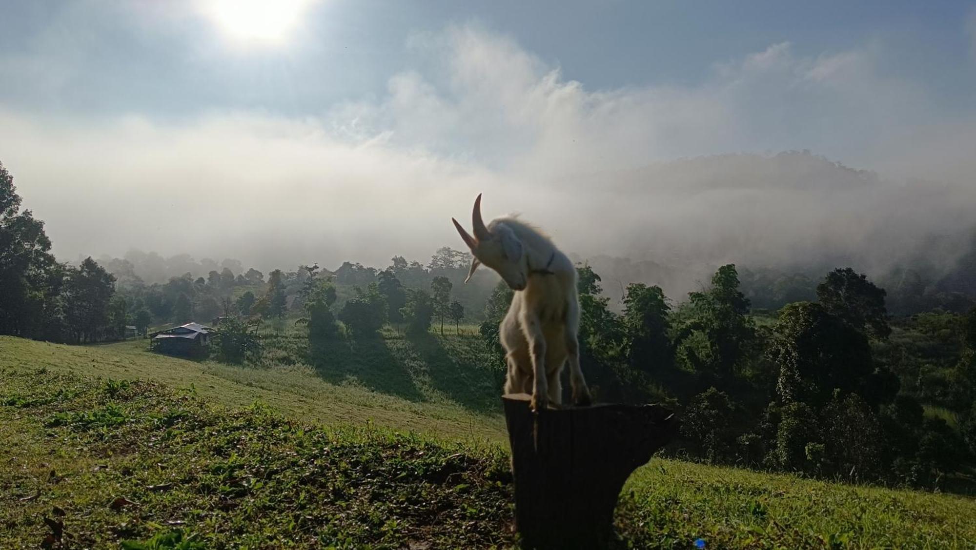 ไร่นิธิสุนทร Nithisoonthon Farmstay Mae Hong Son Zewnętrze zdjęcie