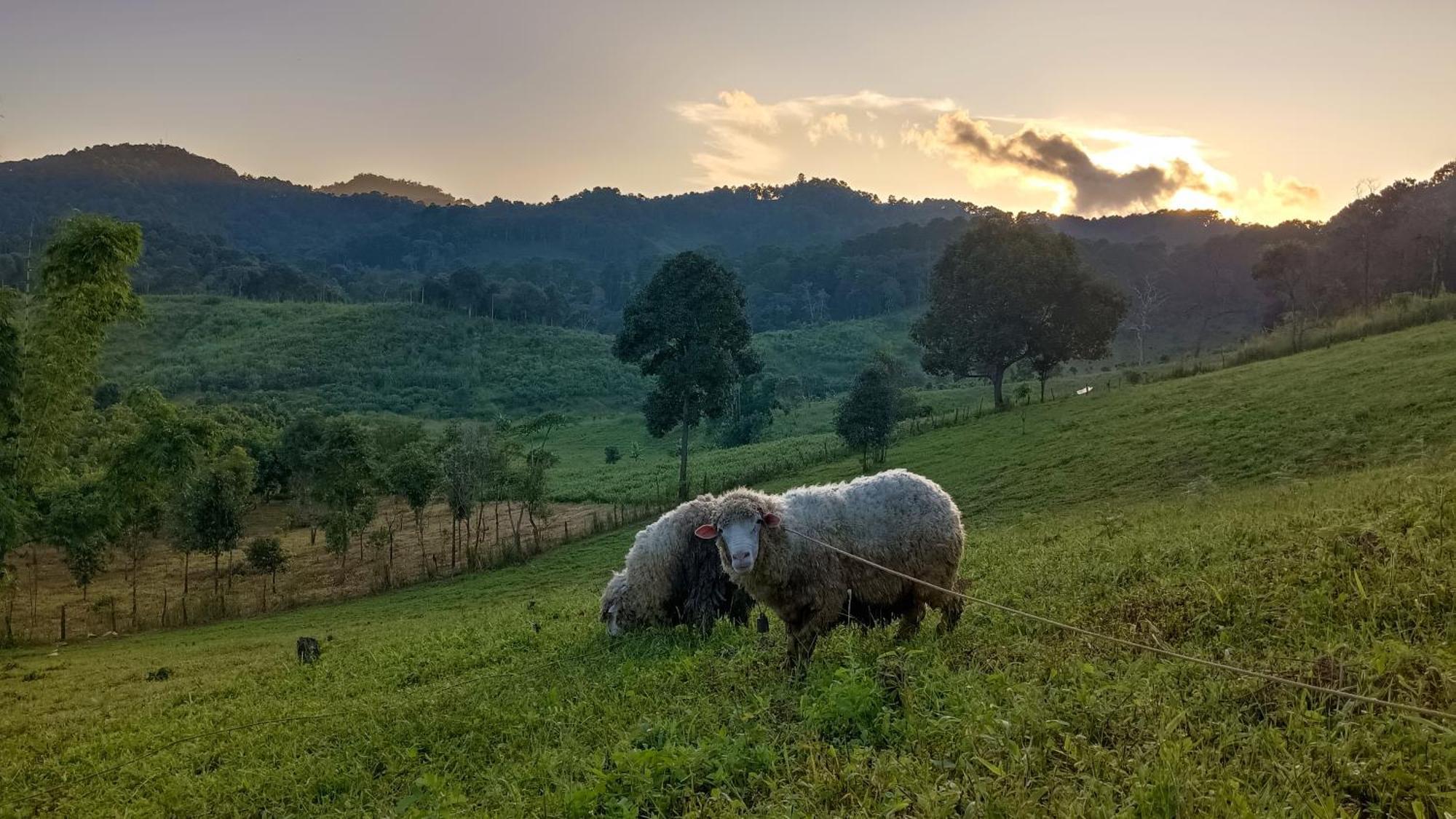 ไร่นิธิสุนทร Nithisoonthon Farmstay Mae Hong Son Zewnętrze zdjęcie