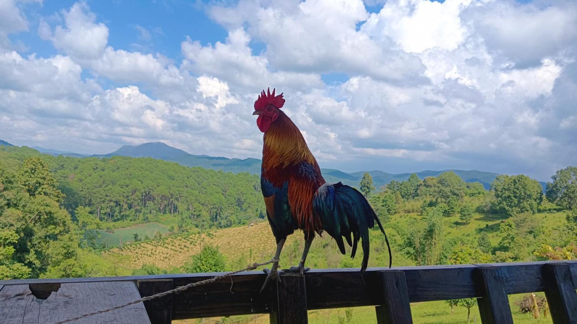 ไร่นิธิสุนทร Nithisoonthon Farmstay Mae Hong Son Zewnętrze zdjęcie